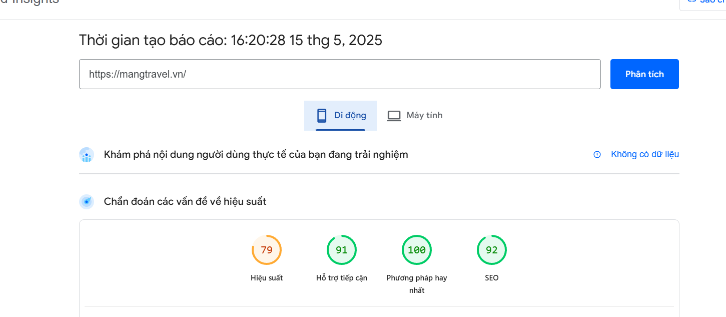 Hiệu suất website trên di động theo PageSpeed Insights